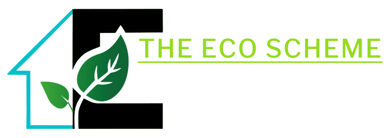 The Eco Scheme: Our carbon removal commitment